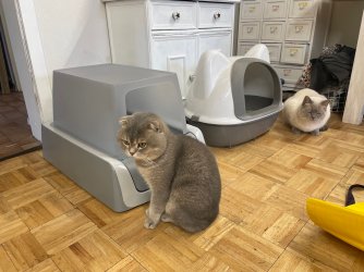 IMG_3927.jpeg