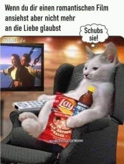 WhatsApp Bild 2023-12-31 um 11.17.32_82228594.jpg