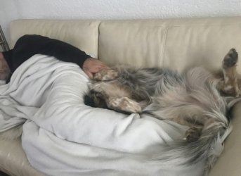 1704039429266.jpeg