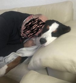 1704039457961.jpeg