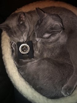 411727168_900213664666439_6564592974254387163_n.jpg 411727168_900213664666439_6564592974254387163_n.jpg