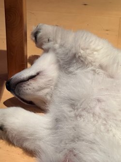 IMG_4146.jpeg