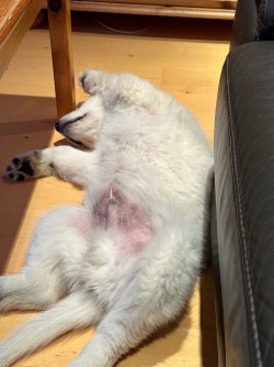 IMG_4147.jpeg