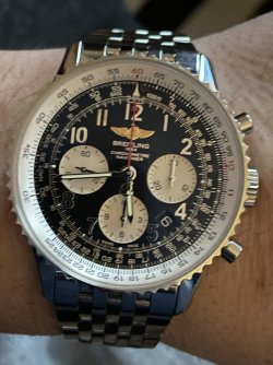 IMG_4956.jpeg IMG_4956.jpeg