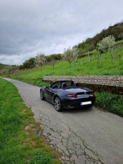 WhatsApp Image 2024-01-12 at 07.56.05.jpeg