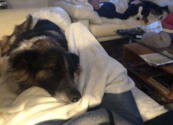 1705082698108.jpeg