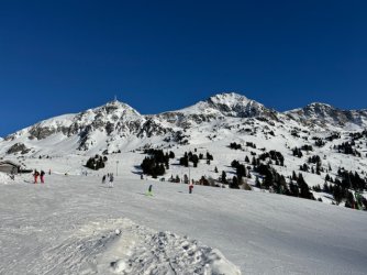 IMG_2237.jpeg