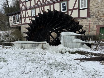 IMG_6815 (1).jpeg