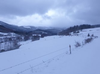 Winter.jpg