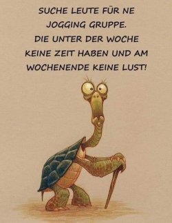 WhatsApp Bild 2024-01-18 um 08.57.04_32081887.jpg