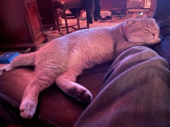 IMG_2182.jpeg