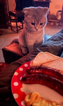 IMG_2188.jpeg