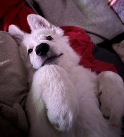 IMG_4504.jpeg