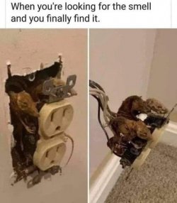 1706054697837.jpeg