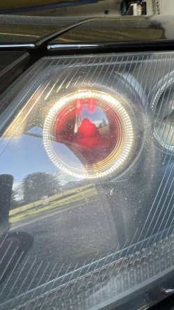 IMG_8637.jpeg