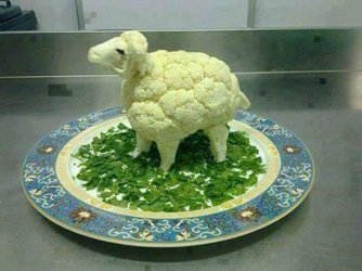 Verunsicherte Veganer in 3, 2, 1 ….jpeg