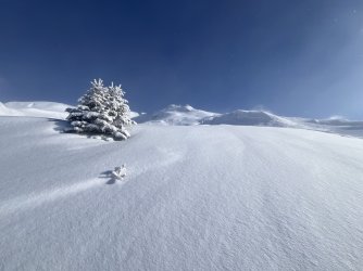 IMG_1871 Groß.jpeg