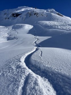 IMG_1878 Groß.jpeg