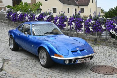 DSC_1239_klein.jpg