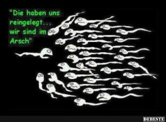 Die haben uns reingelegt_.jpeg