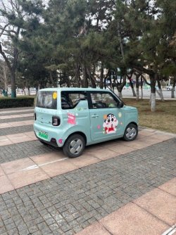 IMG_1239.jpeg
