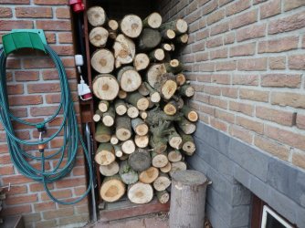 P1020706A.JPG