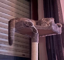 IMG_2317.jpeg
