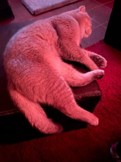 IMG_3999.jpeg