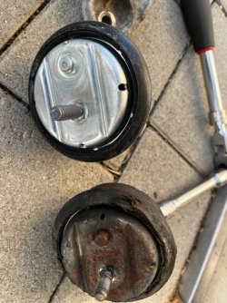 IMG_5782.jpeg