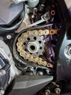 20240210_131604_resized.jpeg 20240210_131604_resized.jpeg