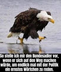 IMG_9911.jpeg