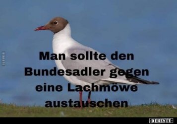 IMG_9912.jpeg