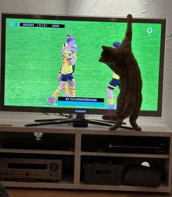 IMG_4725.jpeg