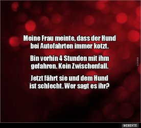 768c89ace8cd284a79080865c9f96417.jpg