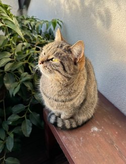 IMG_3933.jpeg