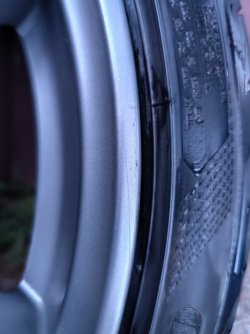 0_IMG_20240302_181153.jpg 0_IMG_20240302_181153.jpg