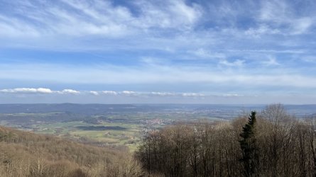 IMG_1069.jpeg