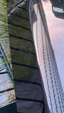 IMG_4051.jpeg