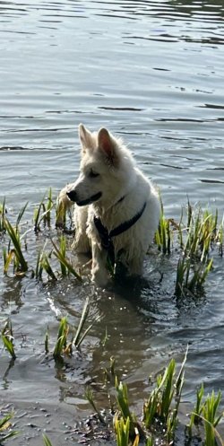 IMG_4870.jpeg