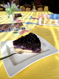 IMG_8166.jpeg