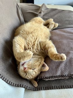 IMG_0202.jpeg
