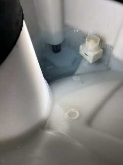IMG_7242.jpeg