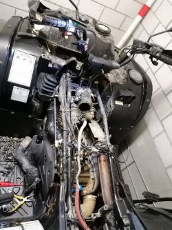 IMG_20240308_182539_copy_1500x2000.jpg