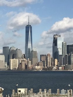 IMG_2246.jpeg