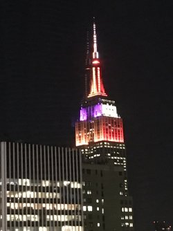 IMG_2285.jpeg