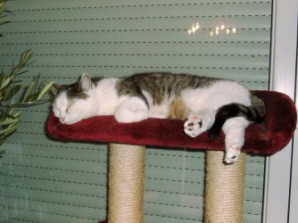 Lisa_relaxed.jpg