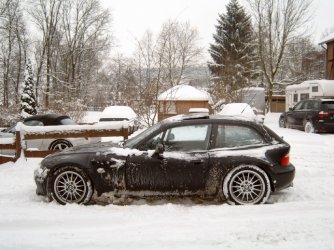 Winterimpressionen in Günters-Kurve 2010 035.jpg