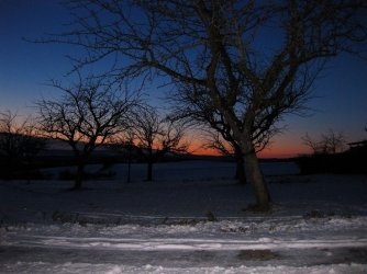 IMG_21932.jpg IMG_21932.jpg