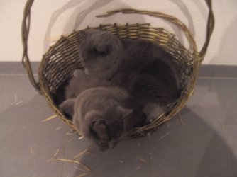 BILD0760.jpg