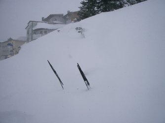 CIMG6143_Größenveränderung.JPG